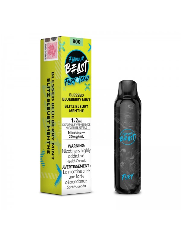 Blessed Blueberry Mint Iced Flavour Beast Fury – Disposable Vape